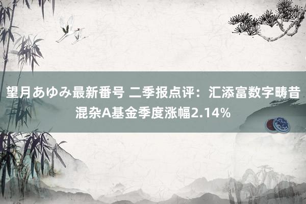 望月あゆみ最新番号 二季报点评：汇添富数字畴昔混杂A基金季度涨幅2.14%