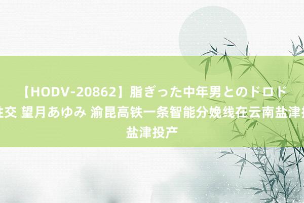 【HODV-20862】脂ぎった中年男とのドロドロ性交 望月あゆみ 渝昆高铁一条智能分娩线在云南盐津投产